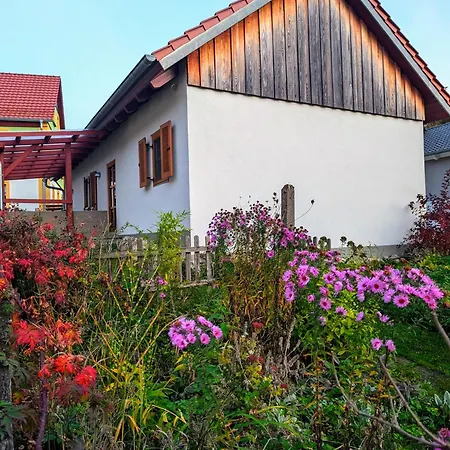 Lindenhof Tiefenellern *